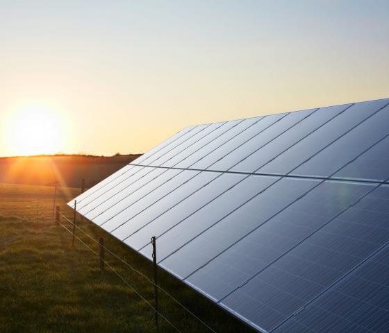 Solar panels in sunset