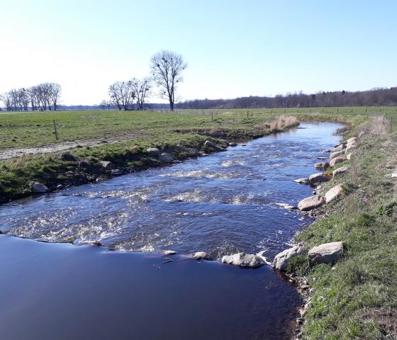 Fluss in Landschaft
