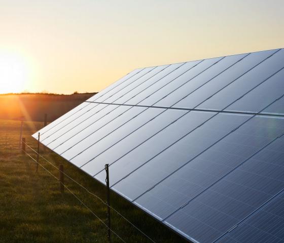 Solar panels during sunset