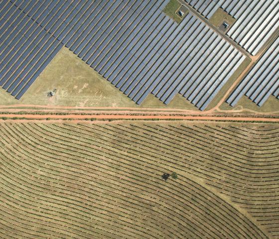 Photovoltaic modules on a solar farm bordering agricultural land.