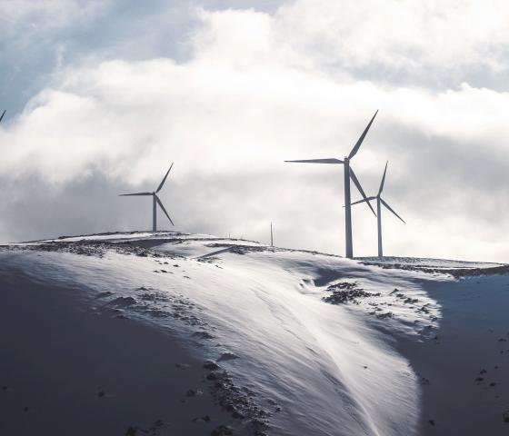 Wind turbines in the snow