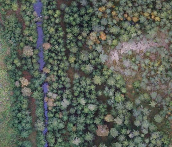 Forest view from the air for mapping purposes, taken by a drone