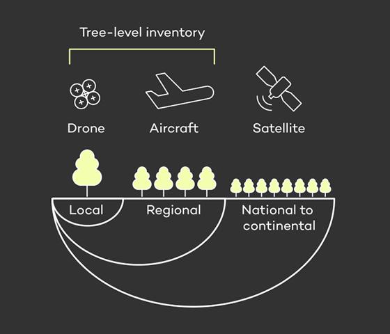 Infographic showing remote sensing differences