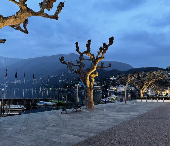 Ascona - Uferpromenade neue Beleuchtung AFRY