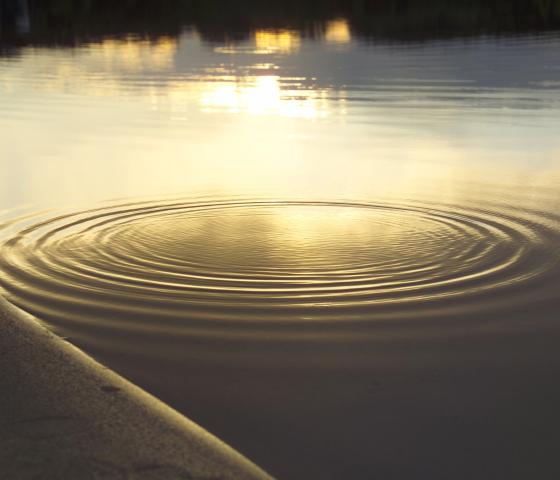 Circles in the water surface 