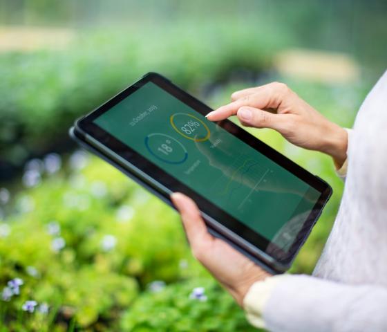 woman holding an Ipad touch the screen with her finger out in the garden