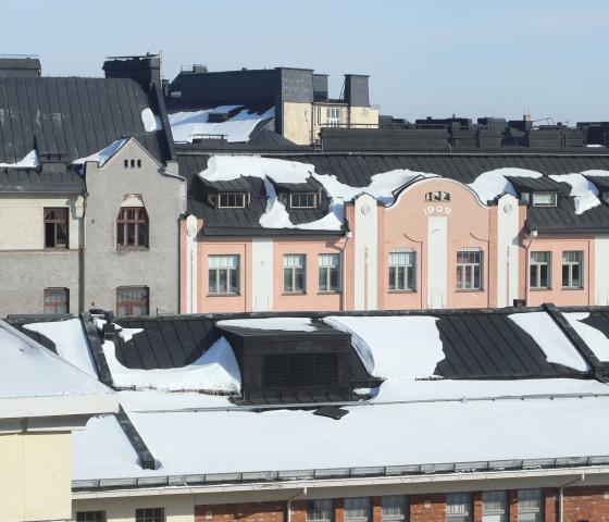 Lumen peittämät katot