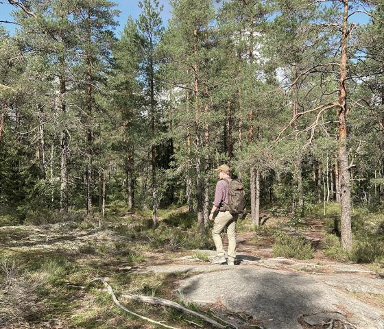 Man on a woodland walk in Finland