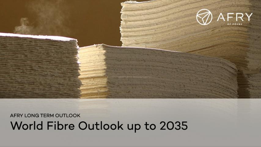 World Fibre Outlook up to 2035 video